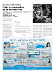 PDF/JdeP-200801%2003.pdf