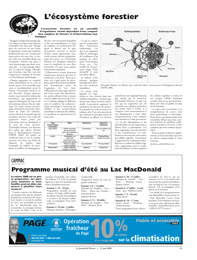 PDF/JdeP-200805%2039.pdf