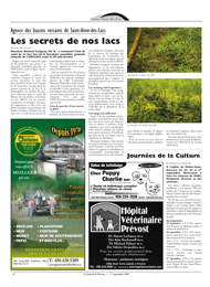PDF/JdeP-200909%2012.pdf