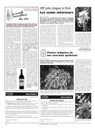 PDF/JdeP-201003%2026.pdf