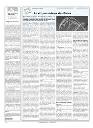 PDF/JdeP-201005%2026.pdf