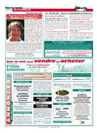 PDF/JDC-201011%2038.pdf