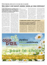 PDF/JDC-201104%2003.pdf