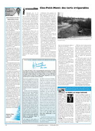 PDF/JDC-201212%2036.pdf