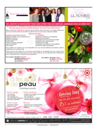 PDF/JDC-201412%2002.pdf