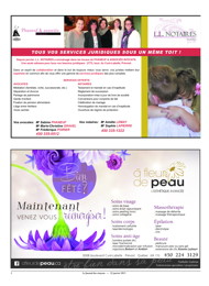PDF/JDC-201501%2002.pdf