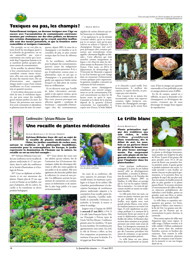 PDF/JDC-201505%2018.pdf