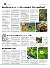PDF/JDC-201510%2021.pdf