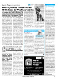 PDF/JDC-201606%2021.pdf