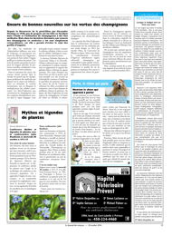PDF/JDC-201610%2025.pdf