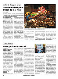 PDF/JDC-201905%2016.pdf
