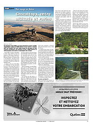 PDF/JDC-201908%2025.pdf