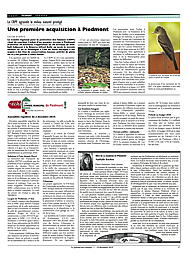 PDF/JDC-201912%2017.pdf