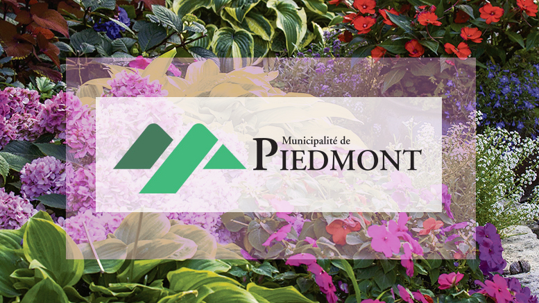 JOurnal des citoyens - concours piedmont